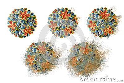 Destruction of hepatitis B virus Cartoon Illustration