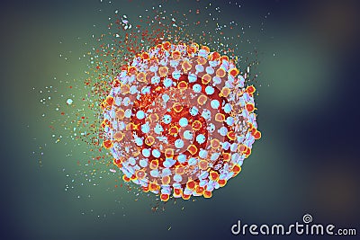 Destruction of hepatitis C virus Cartoon Illustration