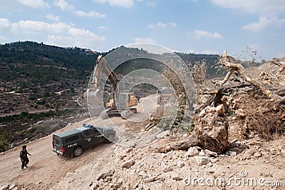 Destruction of Palestinian Olive Groves Editorial Stock Photo