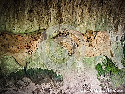 Detail of animal skins hung on the walls of a prehistoric cave. Stock Photo