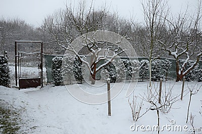 Detail of an Art Nouveau gate with an oval decorative element of a rusty metal garden gate connected to a fence. The yew hedge is Stock Photo