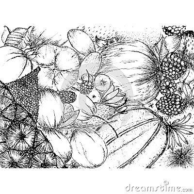 Tropical Fruits in Black and White Stock Photo