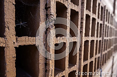 Bricks with holes Stock Photo