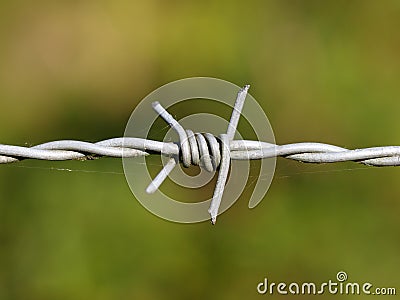 Detail barbed wire Stock Photo