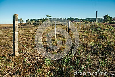 Detail of barbed wire fence with meadows and trees Stock Photo