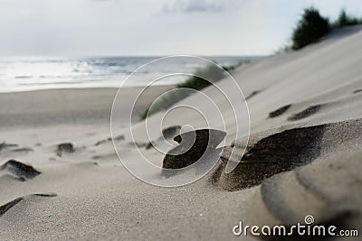 Detail of beach erosion Stock Photo