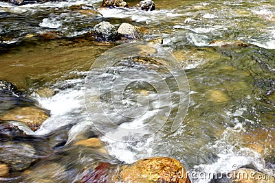 Detail of beautiful mountain stream Stock Photo
