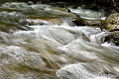 Detail of beautiful mountain stream Stock Photo