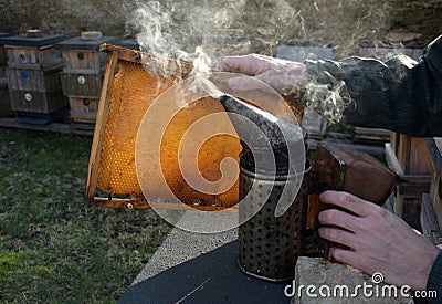 detail of beekeeper smoker to calm bees in beehive metal smoke early morning frame with honeycomb sun Stock Photo