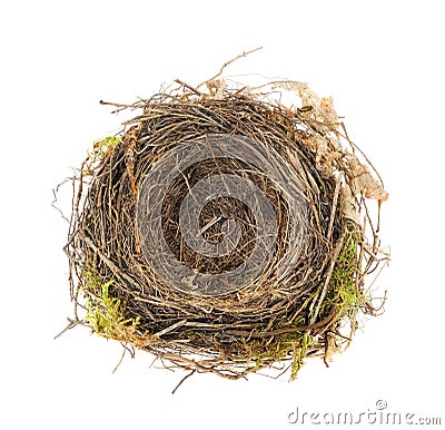 Detail of blackbird nest isolated Stock Photo