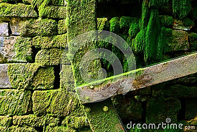 Detail of blade on water wheel for watermill with stones and covered in green moss Stock Photo