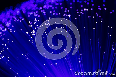 Detail of blue growing bunch of optical fibers background, fast Stock Photo