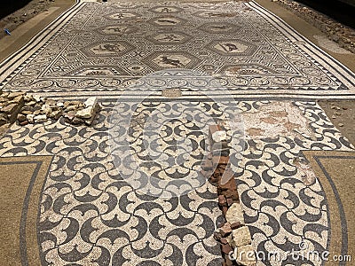 Detail of border design of the Venatio Mosaic, Vallon Museum, Vaud Switzerland Editorial Stock Photo