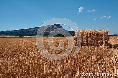 cereal bale in the foreground in a harvested field Stock Photo