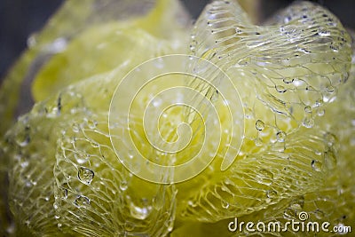 Detail close-up of a yellow shower puff sponge mesh net ball. Stock Photo