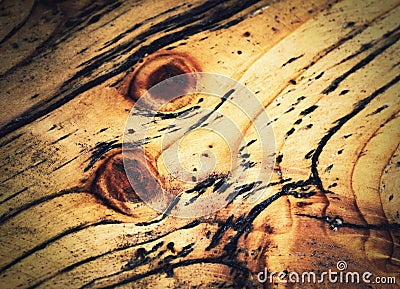 Detail coloration of the wood wall claddings Stock Photo