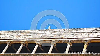 Detail of the cornice of a building in the Plaza de la Catedral, Barcelona Stock Photo