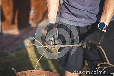 Detail of the deployment of a young temporary worker in a forest environment while cutting branches. Sharp scissors cut through a Stock Photo