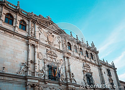 Detail of the facade of Colegio Mayor de San Ildefonso in Alcala de Henares, Spain Stock Photo