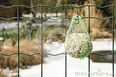 Detail of food for birds hanging on a fence so they can have something to eat during winter Stock Photo