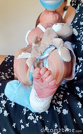 Detail of the foot of a medicated newborn after a blood draw from the heel Stock Photo