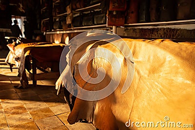 Freshly tanned leather, the roughness and texture is appreciated Stock Photo