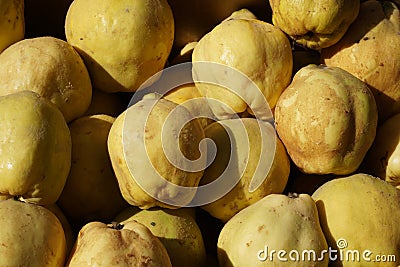 Detail of a group of quinces Stock Photo