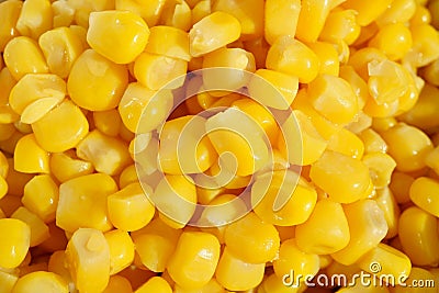 Detail of a heap of yellow corn maize as a symbol of sweet healthy organic vegetable Stock Photo