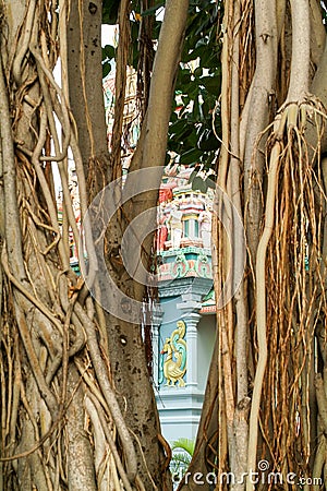 Detail of a Hindu temple at La Possession Stock Photo