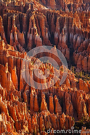 Detail on hoodoos - unique rock formations from sandstone made by geological erosion. Taken during sunrise in Bryce National Stock Photo