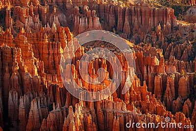 Detail on hoodoos - unique rock formations from sandstone made by geological erosion. Taken during sunrise in Bryce National Park Stock Photo