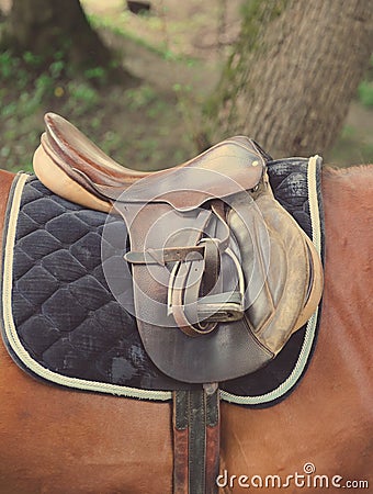 Detail of a horse saddle Stock Photo