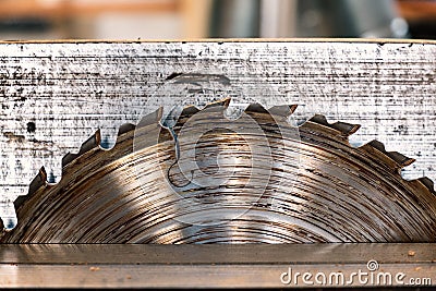 Detail iron circular saw for wood. carpentry. blade close-up Stock Photo