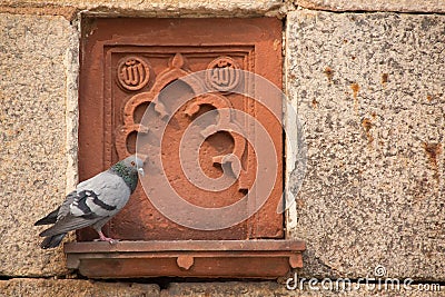 Detail of Isa Khan Niyazi tomb decoration with a sitting pigeon, Stock Photo