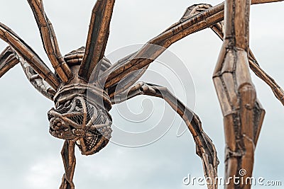 Detail of the Maman Statue by Louise Burgeois Editorial Stock Photo