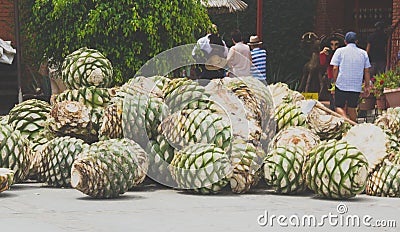 Detail of mezcal factory in Oaxaca Mexico Editorial Stock Photo