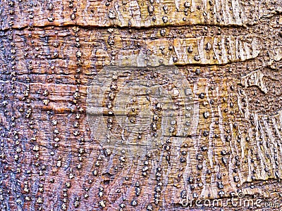 Rough Knobby Textured Abstract Bark Pattern Stock Photo