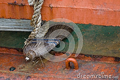 Detail from an old ship, a tugboat Stock Photo