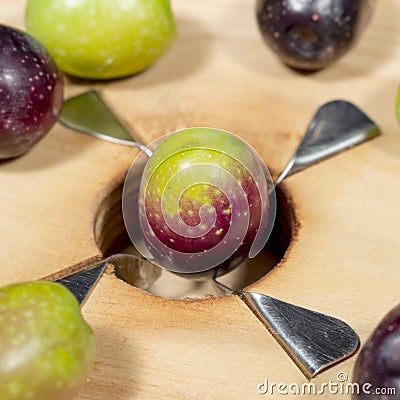 Detail of olive over blades of a traditional wooden slitter Stock Photo