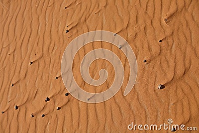 Detail of pattern Sand dunes in the desert , Nature and landsca Stock Photo