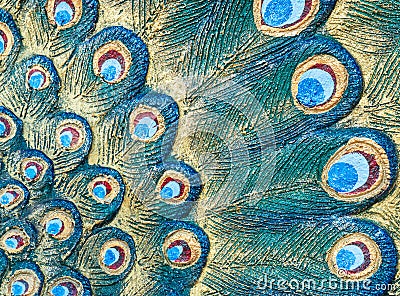 Detail of the peacock tail pattern. Stock Photo