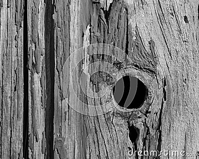 Detail of peeling paint on aged wood for background texture, BW Stock Photo