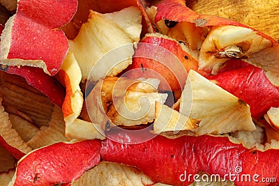 Detail photo - fruit peels, mostly apples - home composting Stock Photo