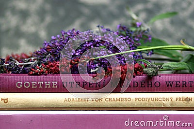 Romantic books and flowers summer Goethe reading stillife Stock Photo