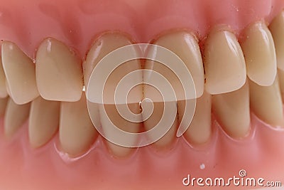 detail plastic teeth Stock Photo