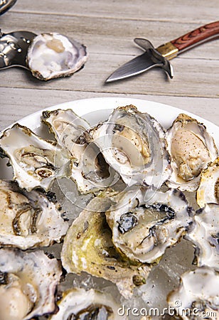 Fresh shucked oysters plate over wood background Stock Photo