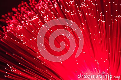 Detail of red growing bunch of optical fibers background, fast l Stock Photo