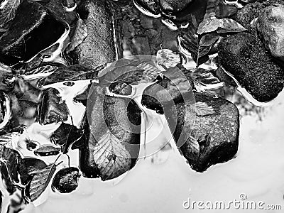 Detail of rotten old leaves on basalt gravel in mirrored water of mountain stream. Stock Photo