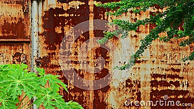 Detail of a rusted metal texture. Stock Photo