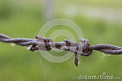 Detail of a rusty barbed wire fence Stock Photo